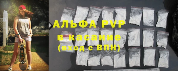 молекула духа Богородицк