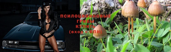 амф Сясьстрой