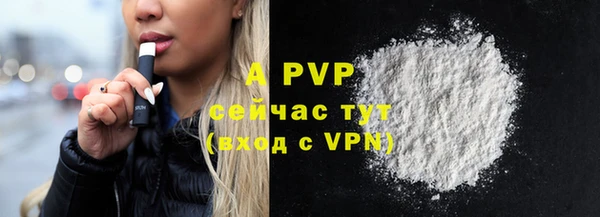 молекула духа Богородицк