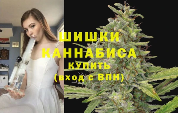 амф Сясьстрой