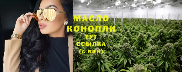 молекула духа Богородицк