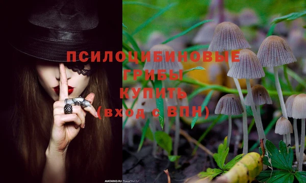 альфа пвп Богданович