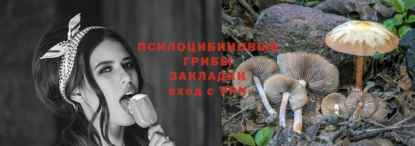 меф Богородск
