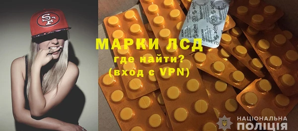 молекула духа Богородицк