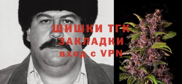 молекула духа Богородицк