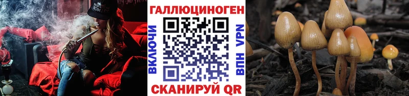 закладки  Нелидово  Галлюциногенные грибы Cubensis 